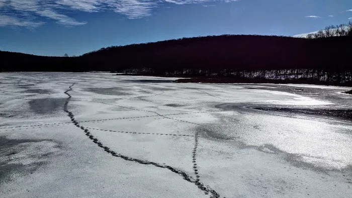 Lake Ames Park Picture 10