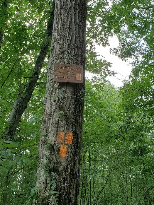 Wildcat Ridge Wildlife Management Area Picture 6