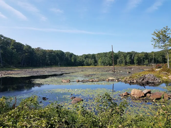 Wildcat Ridge Wildlife Management Area Picture 10
