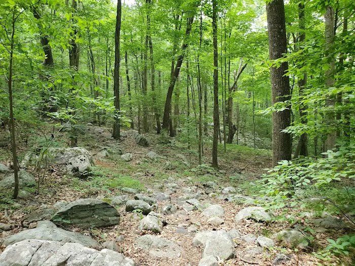 Wildcat Ridge Wildlife Management Area Picture 7