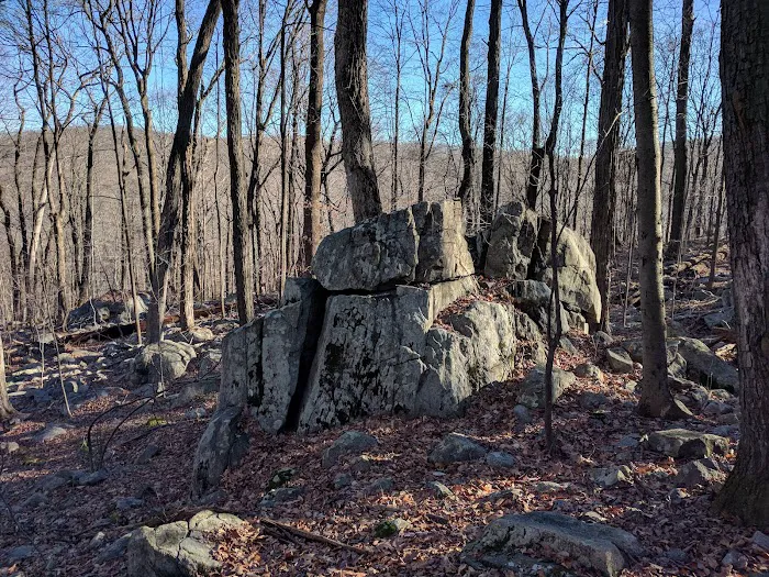 Wildcat Ridge Wildlife Management Area Picture 8