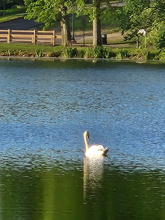 Parks Lake Gazebo Picture 5