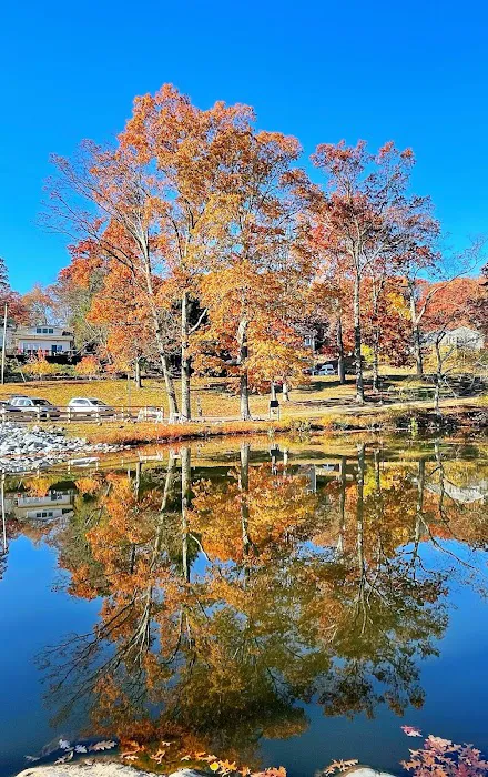 Foxs Lake Dam Park Picture 3