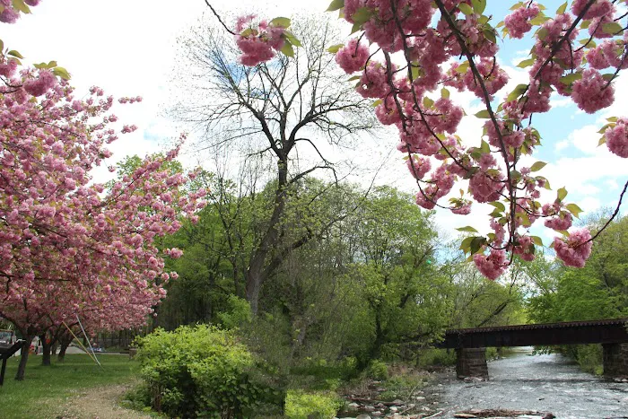 Rockaway Jackson Ave River Park Picture 5
