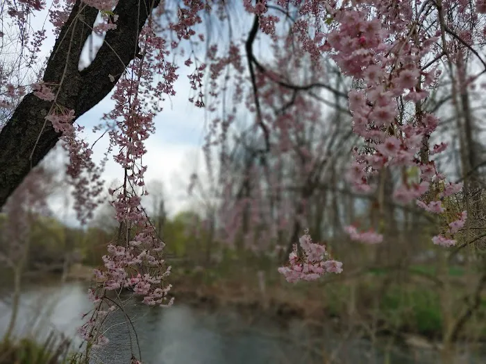 Rockaway Jackson Ave River Park Picture 6