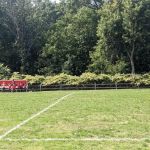 Friendship Field
