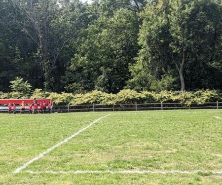 Friendship Field