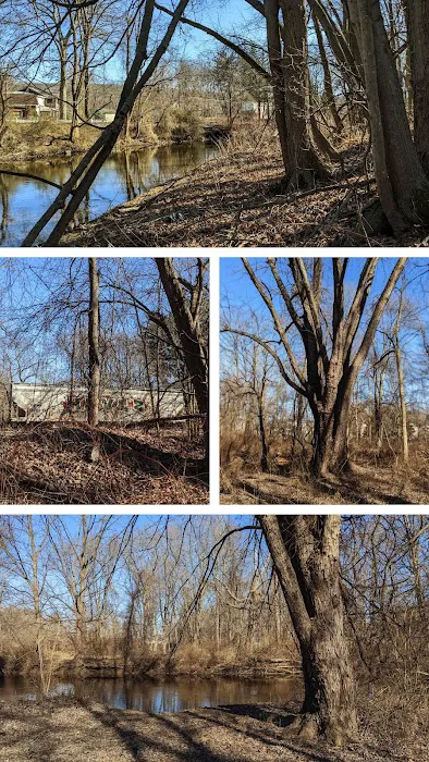 Donatoni Park Picture 5