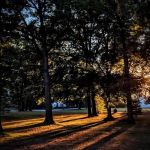 Niles Park