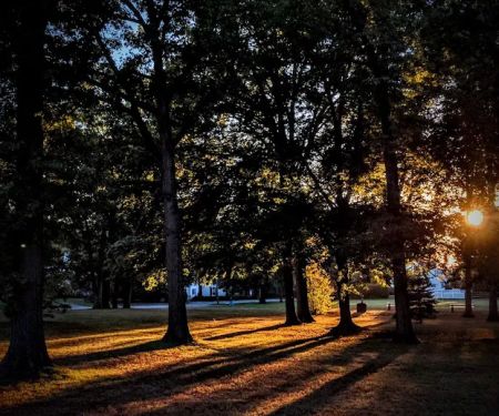 Niles Park