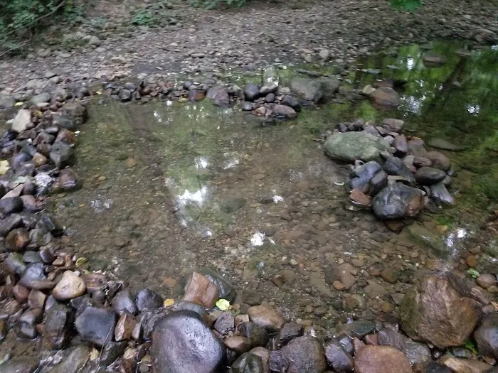 Martin's Brook Park Picture 5