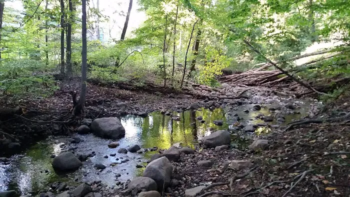 Martin's Brook Park Picture 1