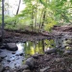 Martin's Brook Park