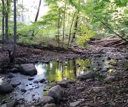 Martin's Brook Park