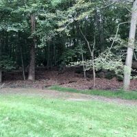 Fox Hill Reserve (Oakey Tract) ico