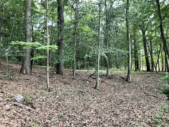 Fox Hill Reserve (Oakey Tract) Picture 10