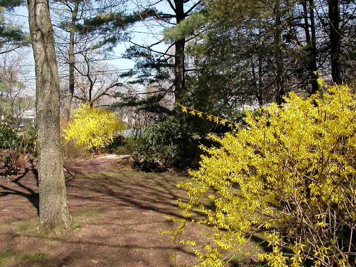 Old Short Hills Park Picture 6