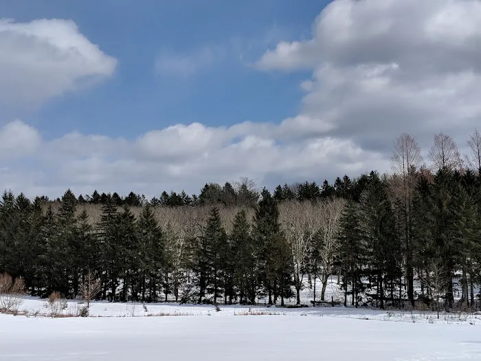 Old Short Hills Park Picture 7