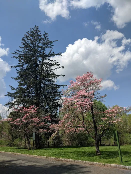 Old Short Hills Park Picture 1