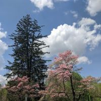 Old Short Hills Park ico