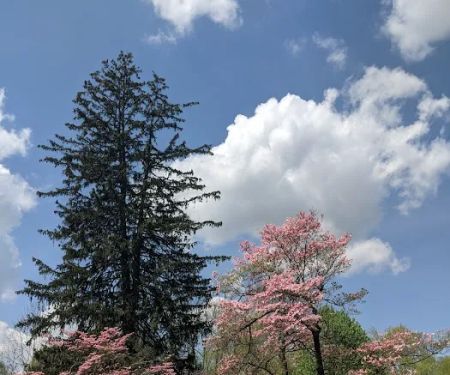 Old Short Hills Park