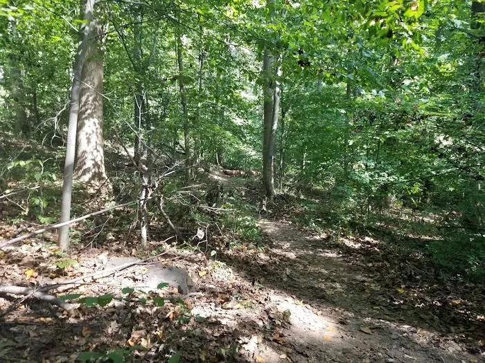 Old Short Hills Park Picture 4