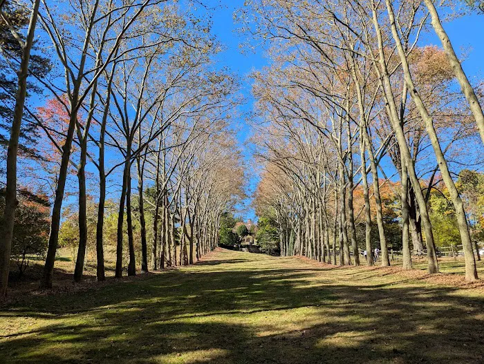Greenwood Gardens Picture 5