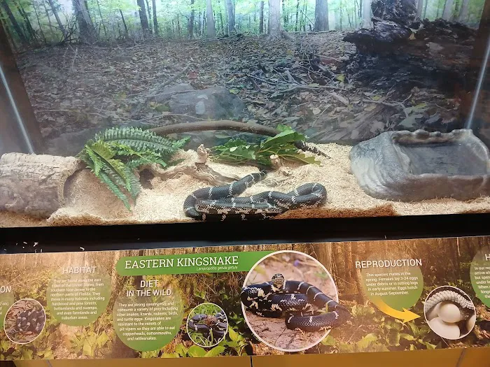 Cora Hartshorn Arboretum and Bird Sanctuary Picture 7