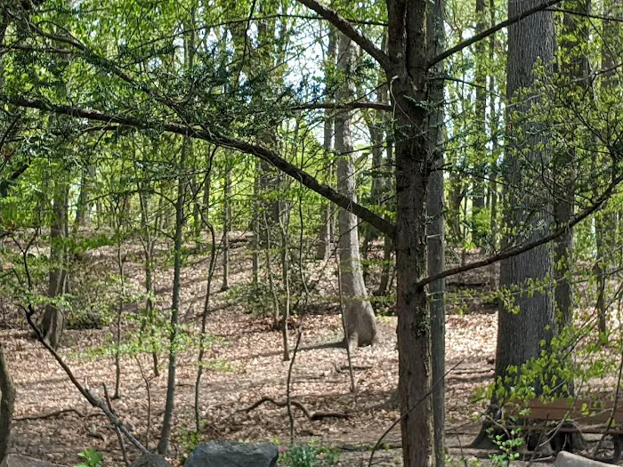 Cora Hartshorn Arboretum and Bird Sanctuary Picture 3