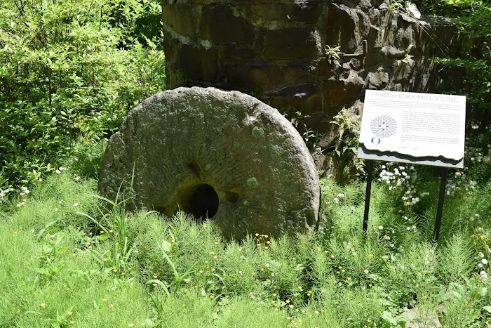 Cora Hartshorn Arboretum and Bird Sanctuary Picture 8