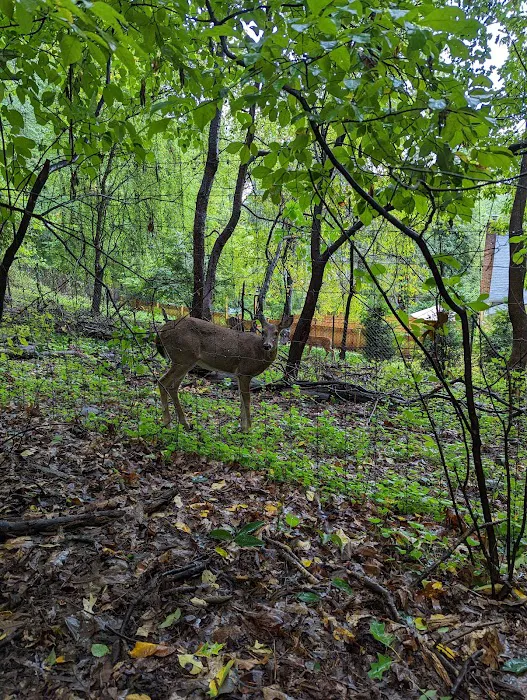 Cora Hartshorn Arboretum and Bird Sanctuary Picture 2