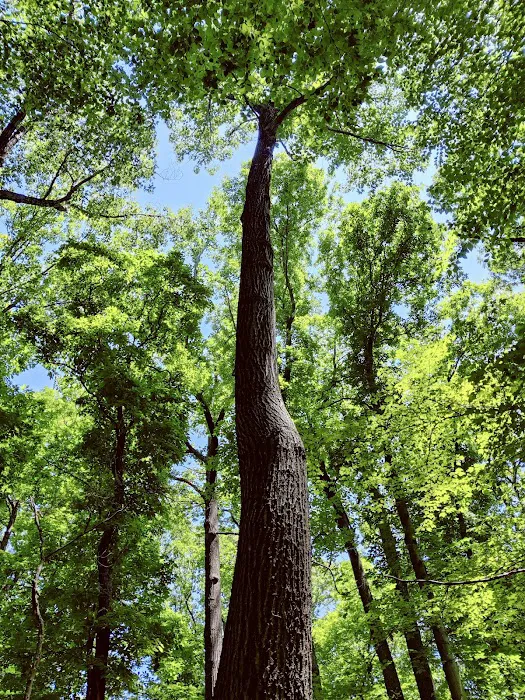 Cora Hartshorn Arboretum and Bird Sanctuary Picture 10