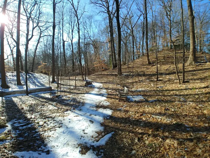 Cora Hartshorn Arboretum and Bird Sanctuary Picture 9