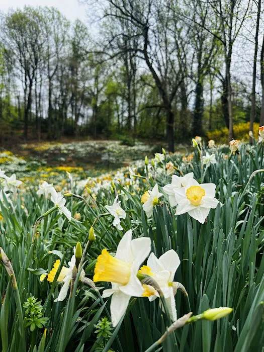 Reeves-Reed Arboretum Picture 2