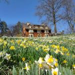 Reeves-Reed Arboretum