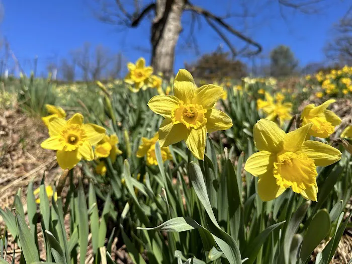 Reeves-Reed Arboretum Picture 6