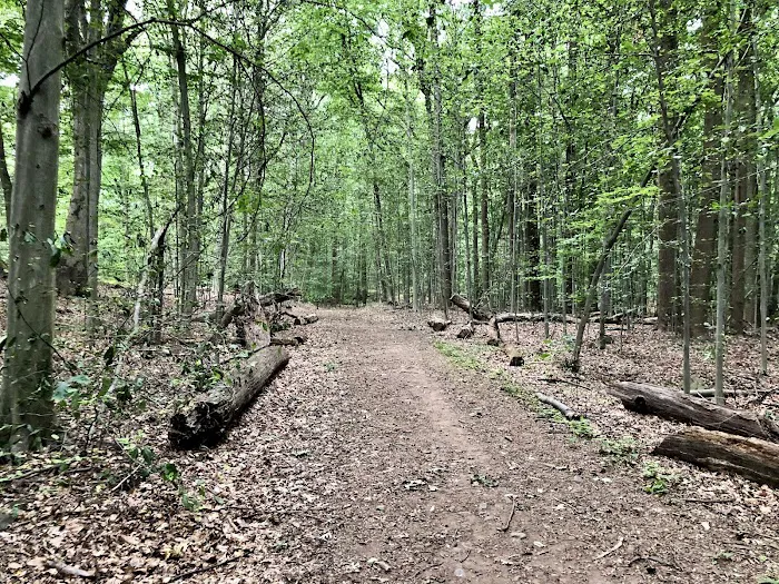 West Ridge Trail Access Picture 2