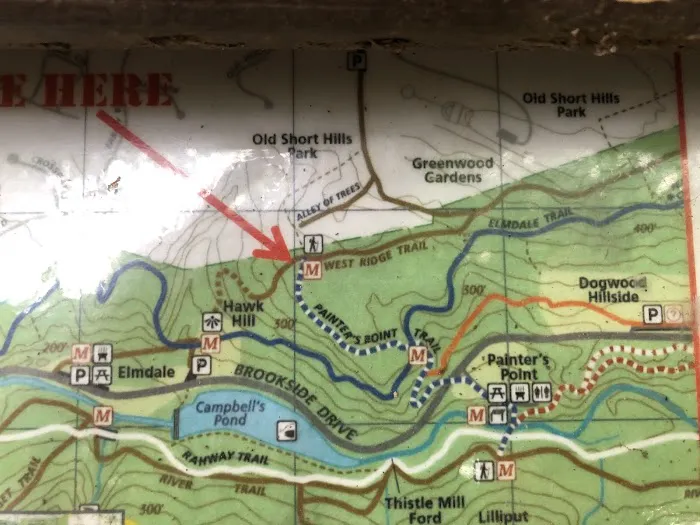 West Ridge Trail Access Picture 3