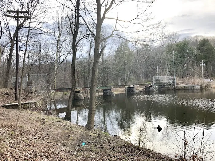 Old Dam Bridge Crossing Picture 9