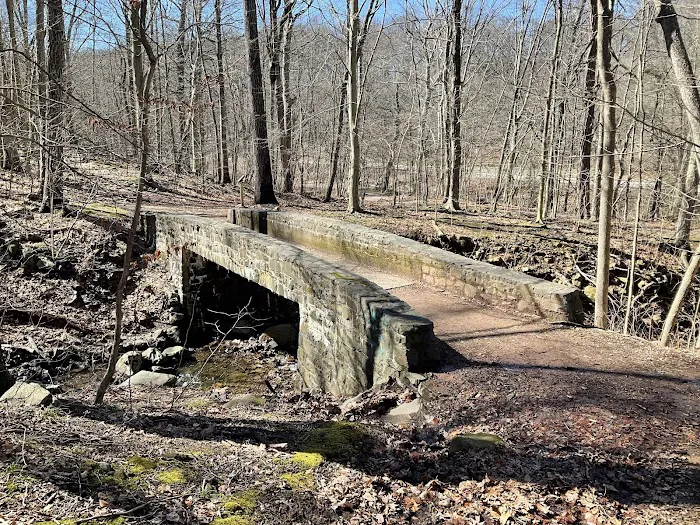 Old Dam Bridge Crossing Picture 7