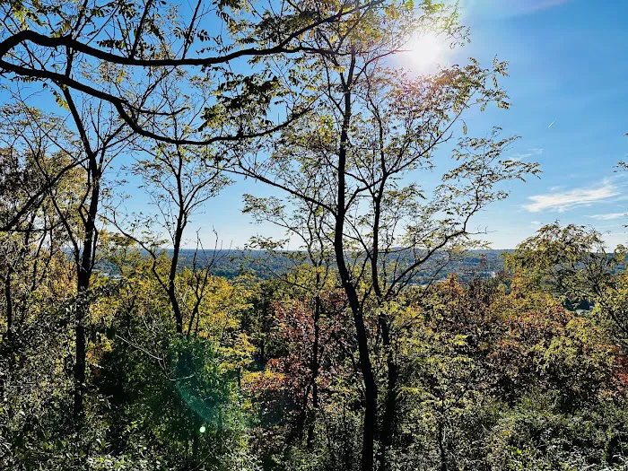 Hemlock Falls Trail Head Picture 6