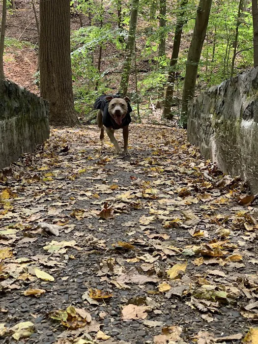 Hemlock Falls Trail Head Picture 4