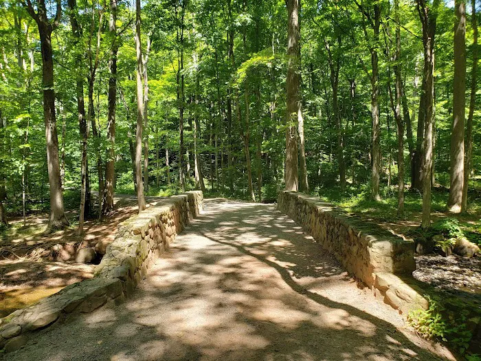 Hemlock Falls Trail Head Picture 1