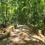 Hemlock Falls Trail Head