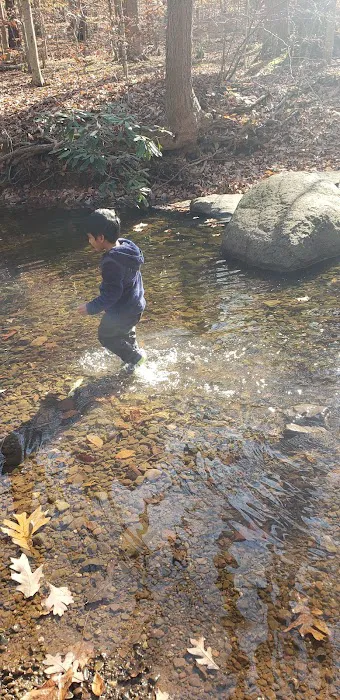 Hemlock Falls Trail Head Picture 10