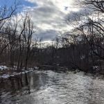 Union County Passaic River Picnic Area