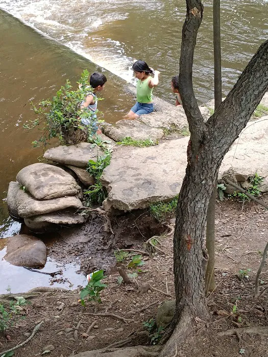 Union County Passaic River Picnic Area Picture 2
