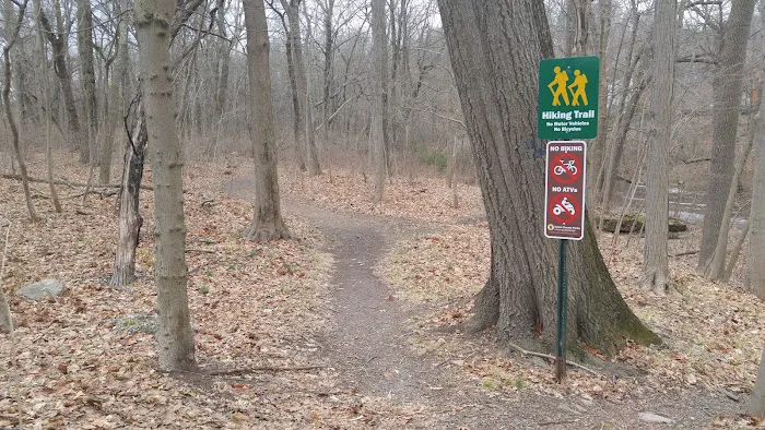 Union County Passaic River Picnic Area Picture 3