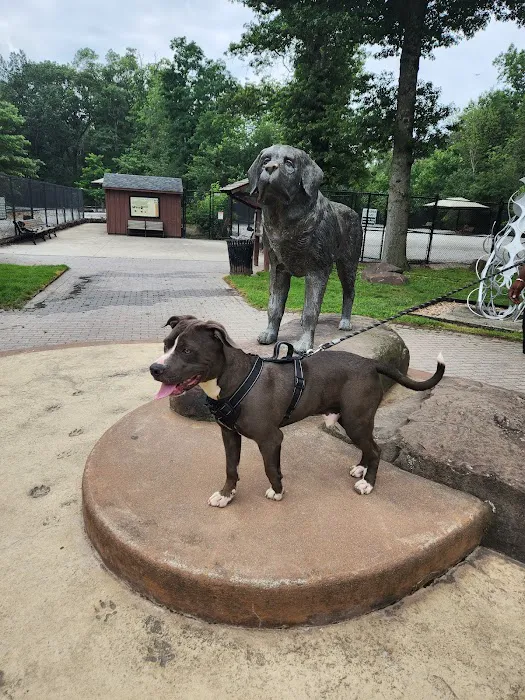 South Mountain Dog Park Picture 6