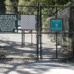 Small Dog Area